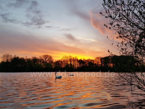 Angefgtes Bild