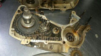 Angef�gtes Bild