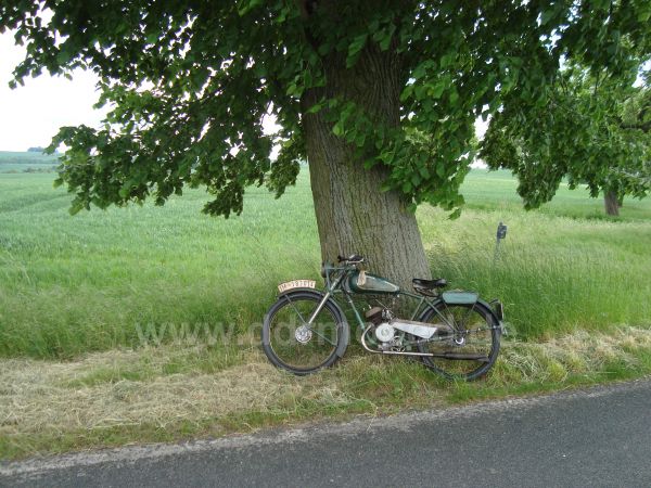 Angefgtes Bild