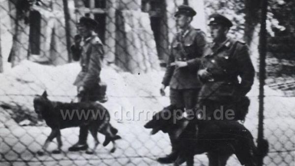 Angefügtes Bild