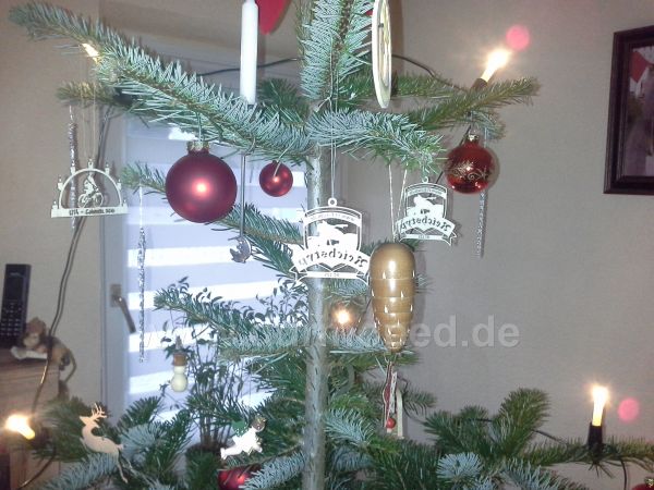 Angefgtes Bild