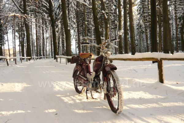 Angef�gtes Bild