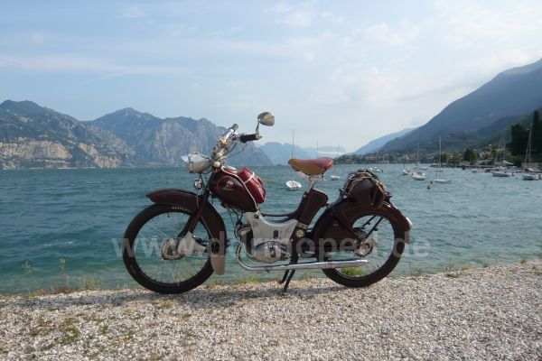 Angef�gtes Bild