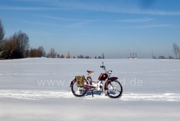 Angef�gtes Bild