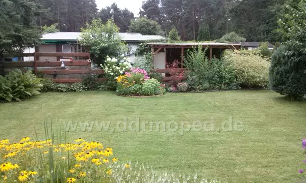 Angefgtes Bild