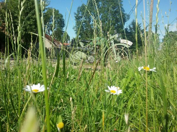 Angefgtes Bild