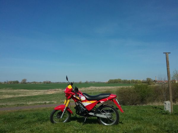 Angefgtes Bild
