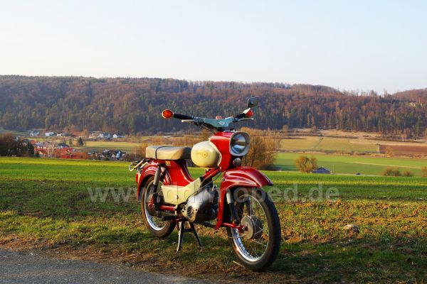 Angefgtes Bild