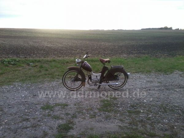 Angefgtes Bild