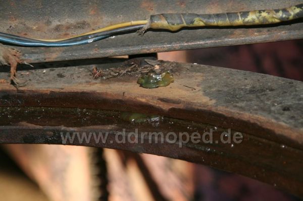 Angefügtes Bild