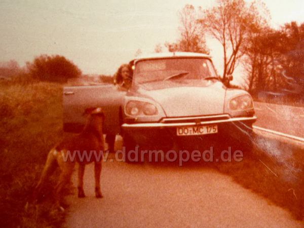 Angefügtes Bild