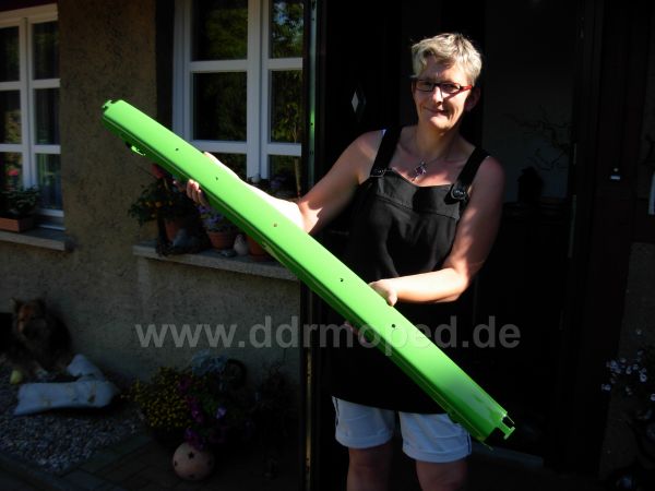 Angefgtes Bild