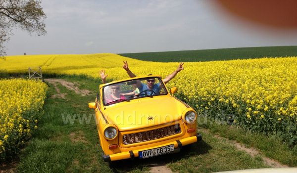 Angefgtes Bild