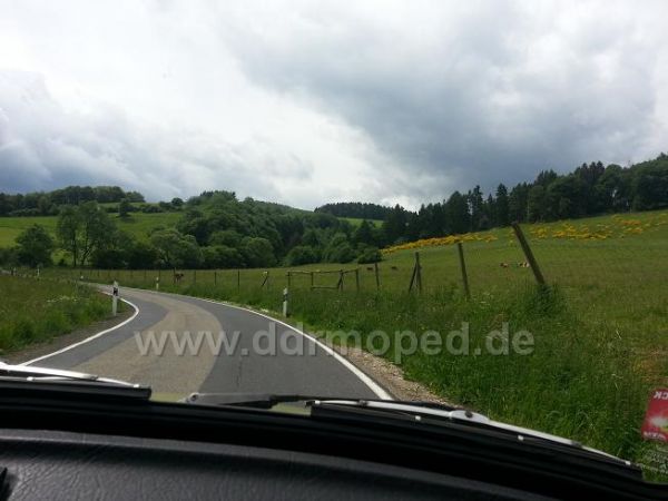Angefgtes Bild