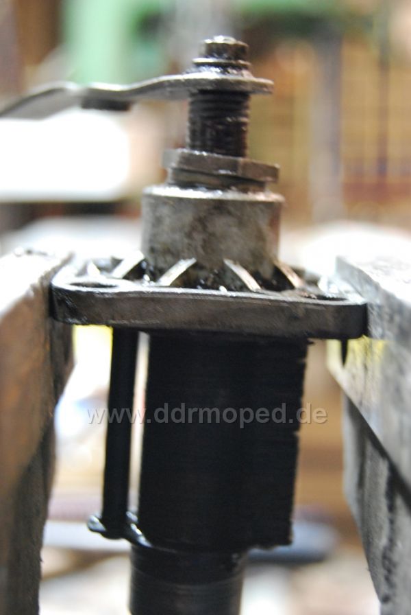 Angefgtes Bild