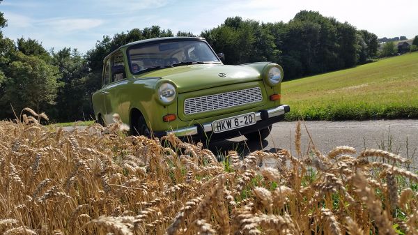 Angefgtes Bild