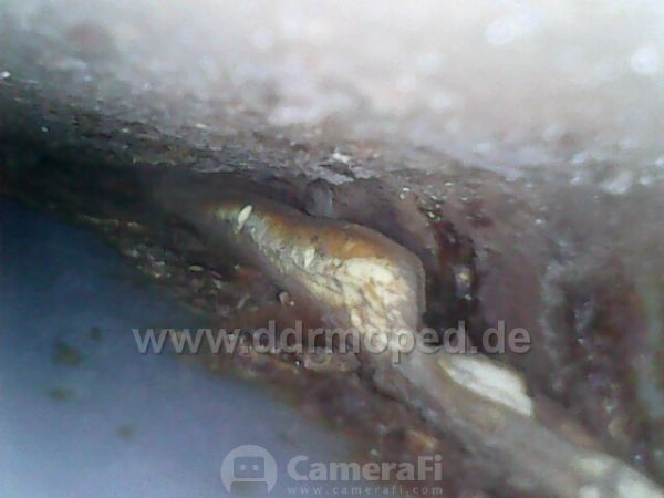 Angefgtes Bild