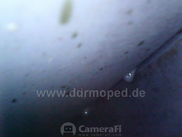 Angefgtes Bild