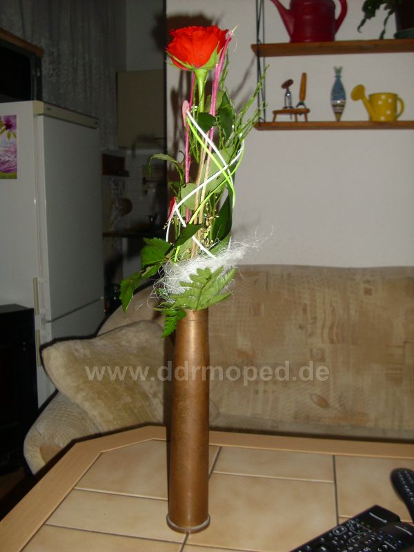 Angefgtes Bild