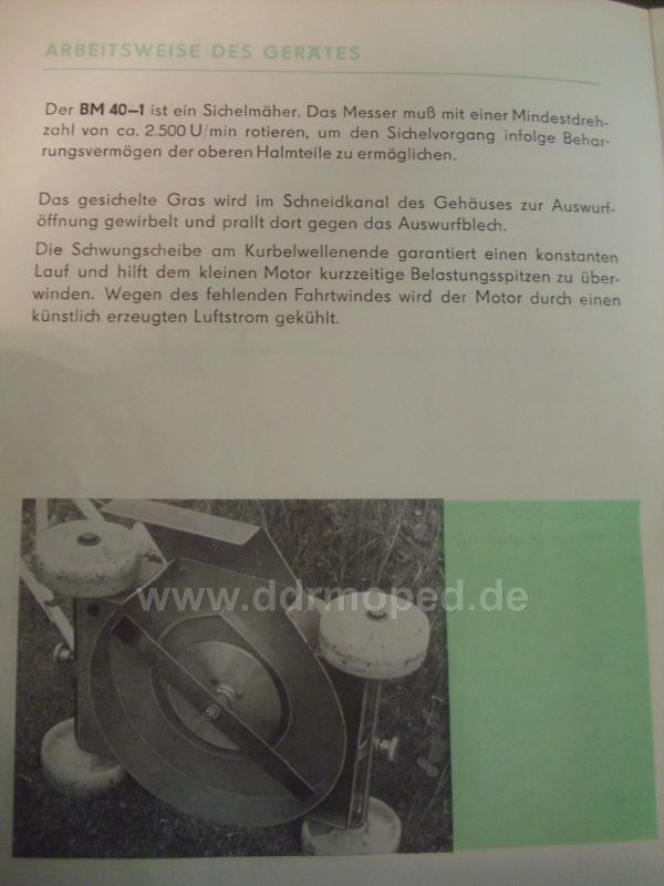 Angefgtes Bild