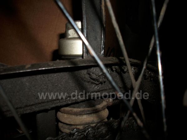 Angefgtes Bild