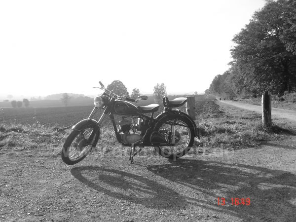 Angefgtes Bild