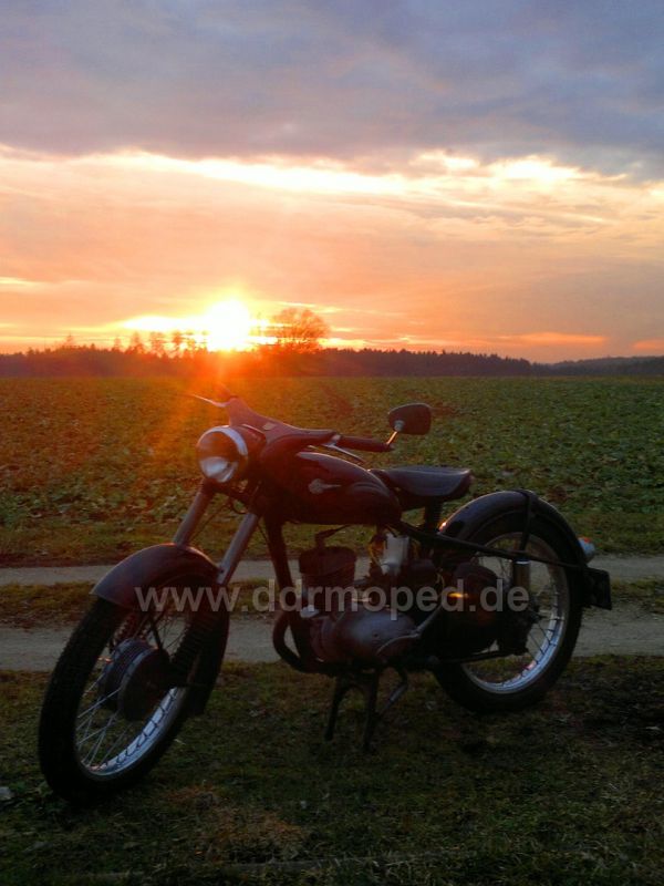 Angefgtes Bild