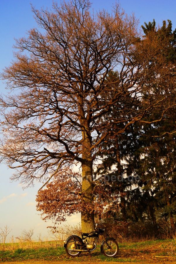 Angefgtes Bild