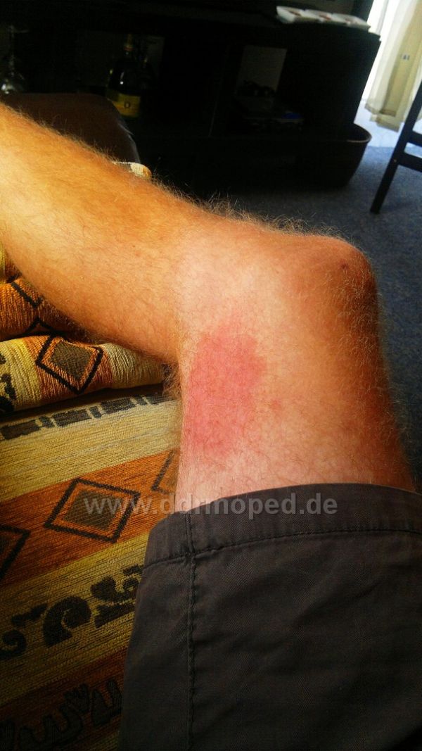 Angefügtes Bild