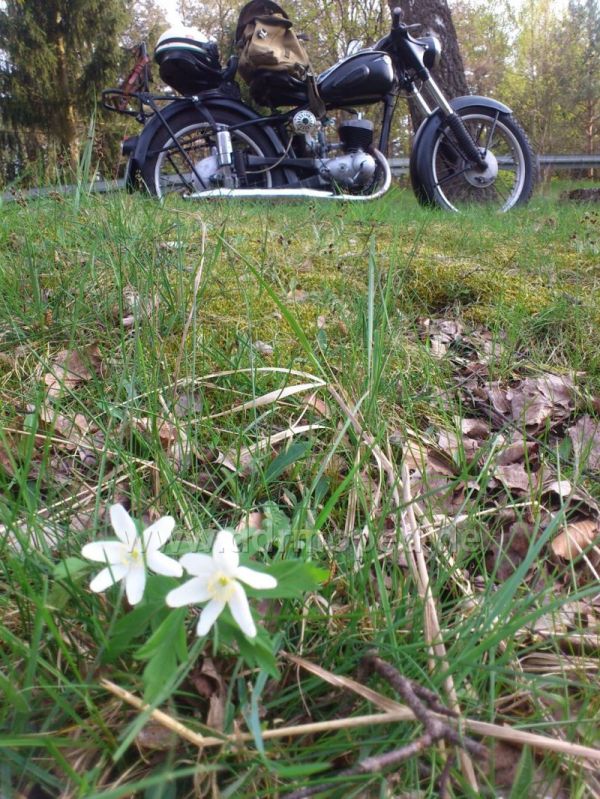 Angefgtes Bild