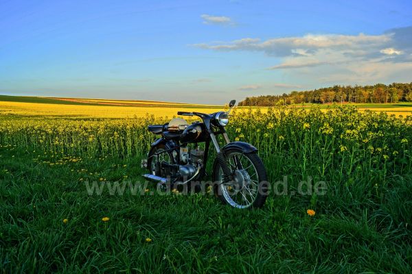 Angefgtes Bild