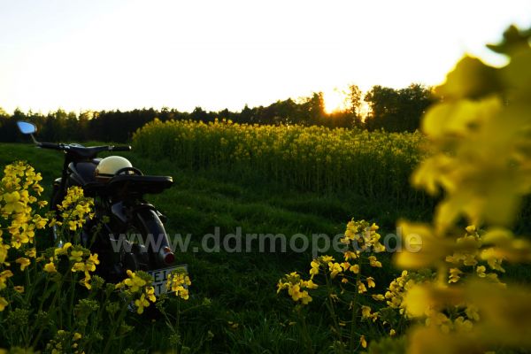 Angefgtes Bild