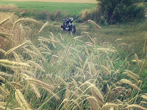 Angefgtes Bild