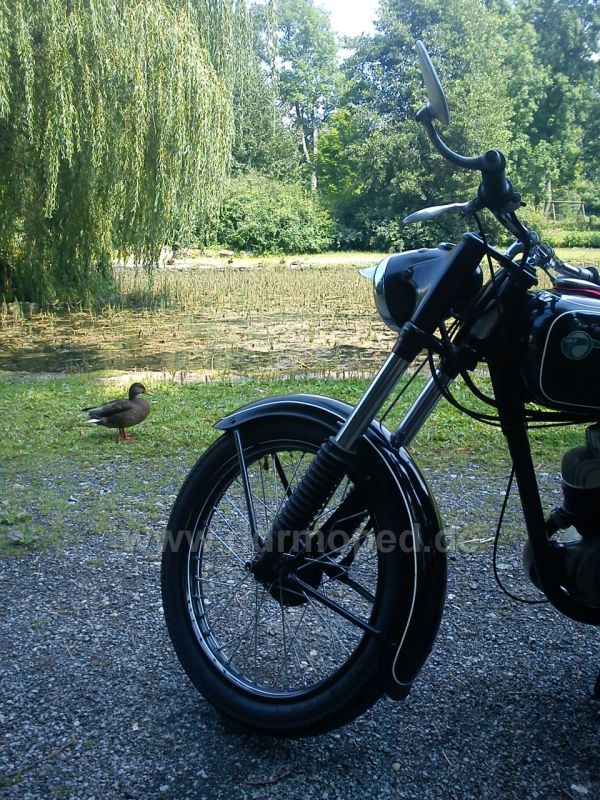 Angefgtes Bild