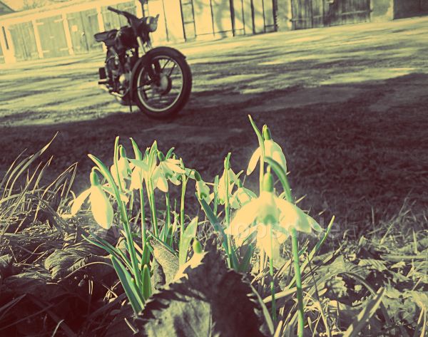 Angefgtes Bild
