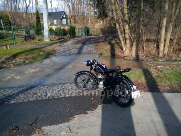 Angefgtes Bild