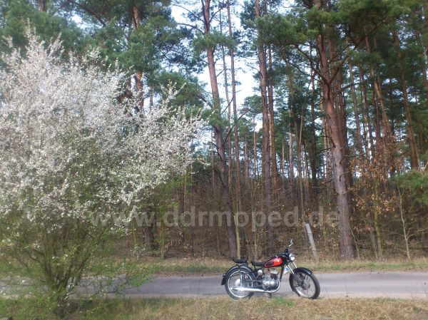 Angefgtes Bild