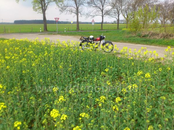 Angefgtes Bild