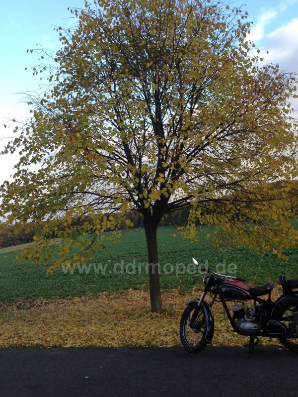 Angefgtes Bild