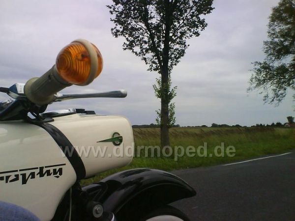 Angefgtes Bild