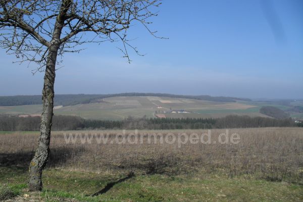 Angefgtes Bild
