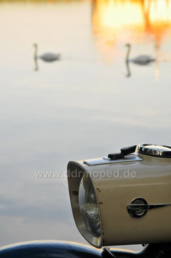 Angefgtes Bild