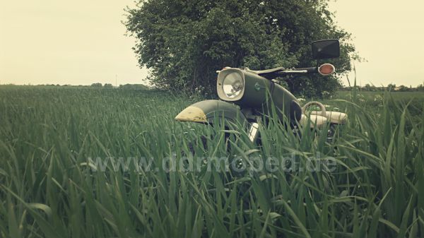 Angefgtes Bild