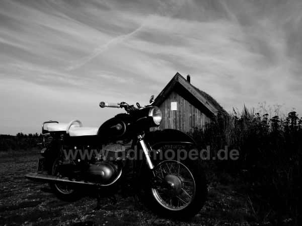 Angefgtes Bild