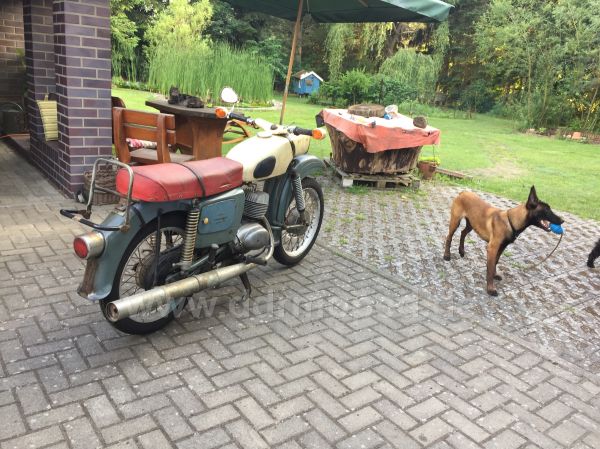 Angefgtes Bild