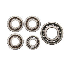 Set Kugellager (5-teilig) SKF - IFA MZ RT125/1, RT125/2