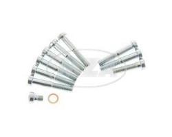 Set Inbus-Schrauben fr Gehusedeckel Simson Motor M500 - M700