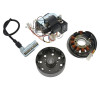 Umrstsatz Vape - 12V 35/35W - Simson Roller SR50, SR80