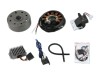 Lichtmaschine + Zndanlage 12V 100W - fr IWL Roller Pitty, Wiesel, Berlin, Troll