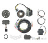 Lichtmaschine + Zndanlage 12V 150W komplett mit Kabelbaum - AWO 425 Sport